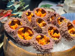 海胆-花潮料理艺食馆(SM新生活广场店)