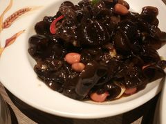-九毛九西北菜(百信广场店)