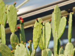 -华南国家植物园-售票处