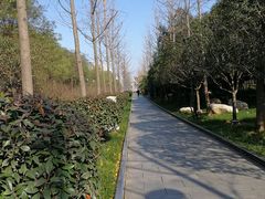 -唐城墙遗址公园