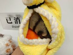 -立德异宠动物医院.兔鸟爬.内窥镜(天河店)