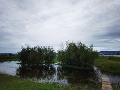-洱海月湿地公园