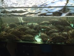 iphone_upload_pic-合家小菜餐馆(新诚花苑店)