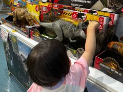 -TOYSRUS玩具反斗城(上海万象城店)