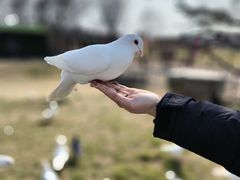 -南通洲际绿博园
