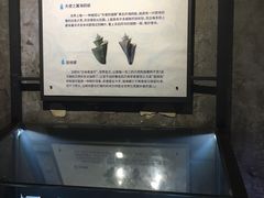-贝壳梦幻世界