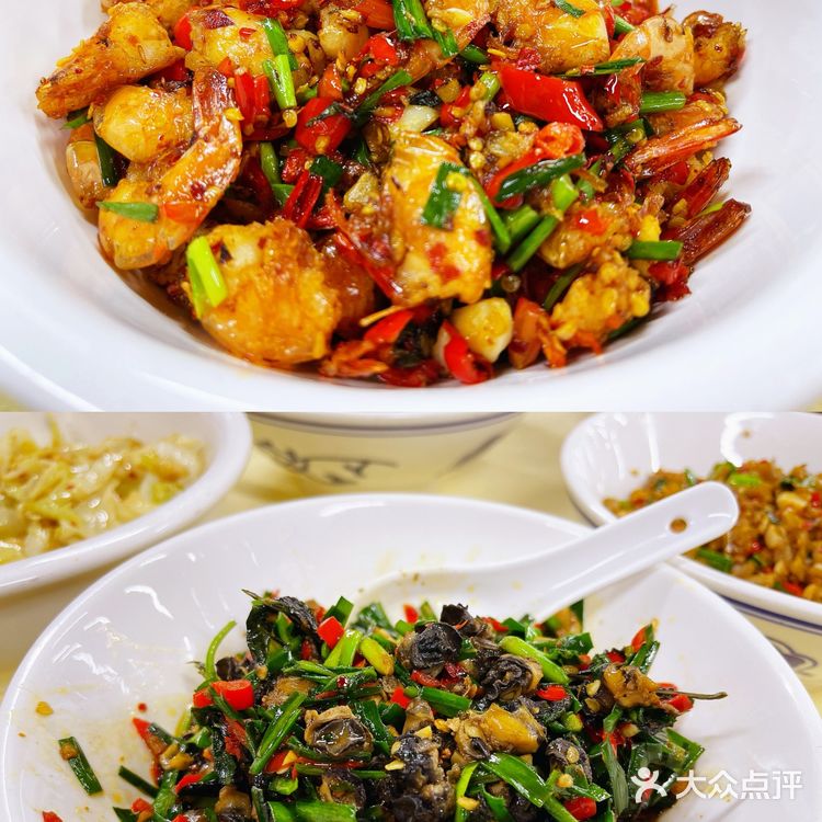 笨萝卜终于来深圳啦!