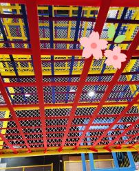 -萌兔星空蹦床撸兔馆