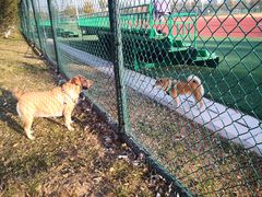 -瀛海足球主题公园