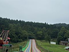 -武陵山森林公园