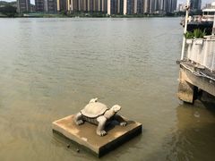 -珠海梦幻水城