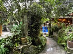 -青城甲(青城山店)