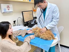 -美联众合爱康动物医院•复杂内科•肿瘤科•牙科•腔镜诊疗中心
