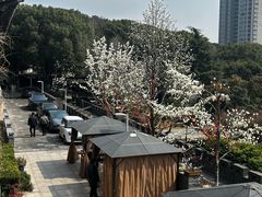 -小湾茶楼