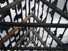 -奥斯陆歌剧院