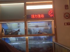 -鱼酷活鱼烤鱼(新世界城店)