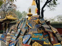 -护国法轮寺