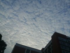 -上海市工商外国语学校