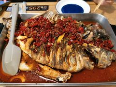 麻辣诱惑-鱼酷活鱼烤鱼(梅江印象城店)