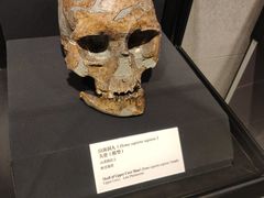 -北京周口店北京人遗址博物馆