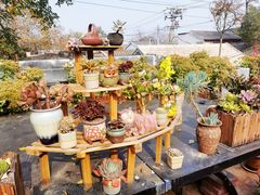 -多味居(剪子巷店)