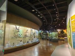 -陕西自然博物馆