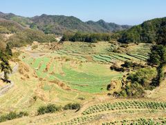 -灵山景区梯田