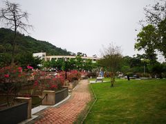 -广东外语外贸大学(白云山校区)