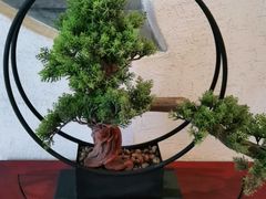 -中国徽菜·徽商故里(广安门店)