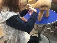 -PETKIT小佩宠物(古北店)