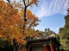 -香山公园