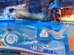 -海合安青岛极地海洋公园