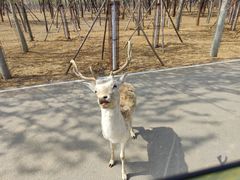 -秦皇岛野生动物园