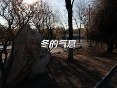 -天津水上公园