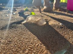 -兴城海滨风景区