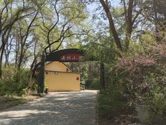 -黑龙江省森林植物园