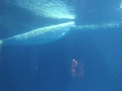 -海底捞火锅(武胜路凯德广场店)