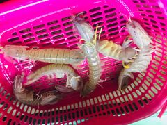 -班赞海鲜市场