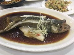 -峨嵋酒家(清河店)