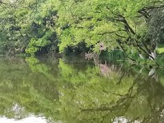-八卦田遗址公园