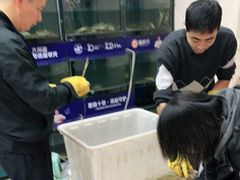 -蟹状元大闸蟹·年货·粽子(成都成华店)