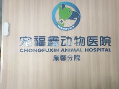 -宠福鑫康馨动物医院·骨科·眼科