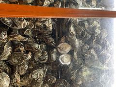 -土蚝·高压锅生蚝(百姓美食街店)
