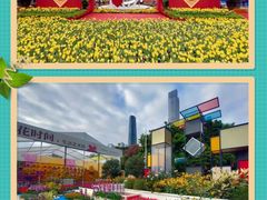 -海心沙亚运公园