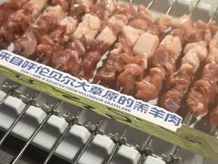-很久以前羊肉串(农科路店)