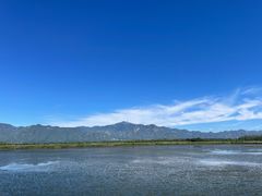 -野鸭湖国家湿地公园