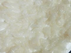 -鸽王世家(东华东路店)
