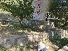 -北京凤凰岭