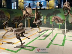 -国家自然博物馆