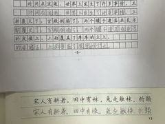 -赵汝飞练字硬笔书法(大钟寺校区)
